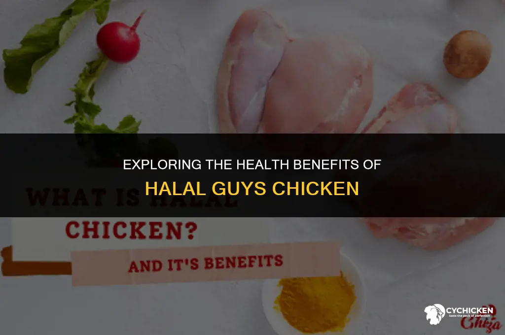 is halal guys chicken healthy