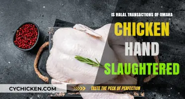 Is Omaha Chicken Halal? Hand-Slaughtered Transactions Explained