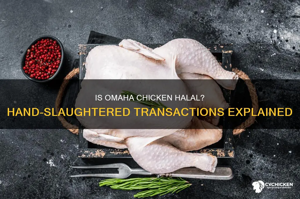 is halal transactions of omaha chicken hand slaughtered