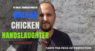 Halal Omaha Chicken: Hand-Slaughtered or Not? Exploring the Process