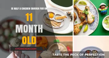 Chicken Portions: How Much is Enough for Your 11-Month-Old?