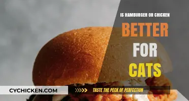 Hamburger vs. Chicken: Which is the Purrfect Choice for Cats?