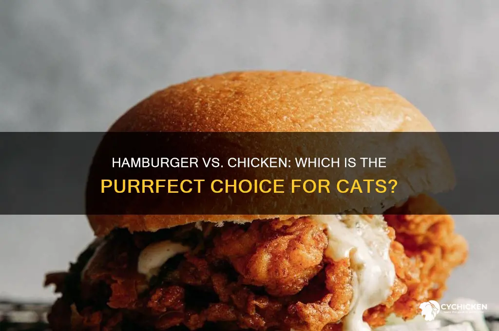 is hamburger or chicken better for cats