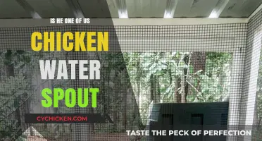 Is He One of Us? Unraveling the Chicken Water Spout Mystery