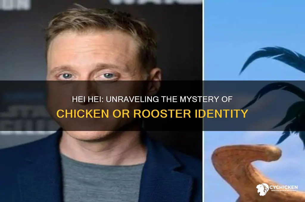 is hei hei the chicken or a rooster