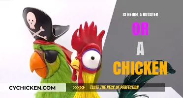 Heihei's Identity: Unraveling the Rooster vs. Chicken Debate