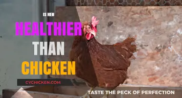 Exploring the Nutritional Benefits: Is Hen Healthier Than Chicken?