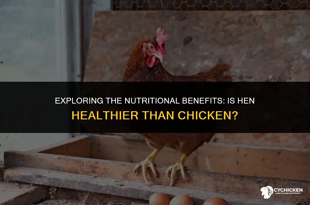 is hen healthier than chicken