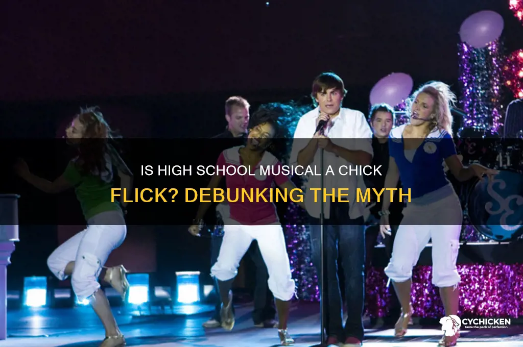 is high school musical a chick flick