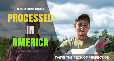 Is Holly Farms Chicken Processed in America? Uncovering the Truth