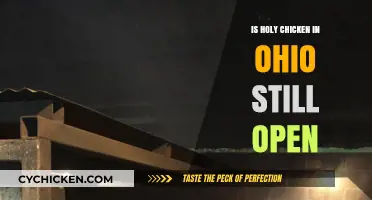 Is Holy Chicken in Ohio Still Open? Latest Updates