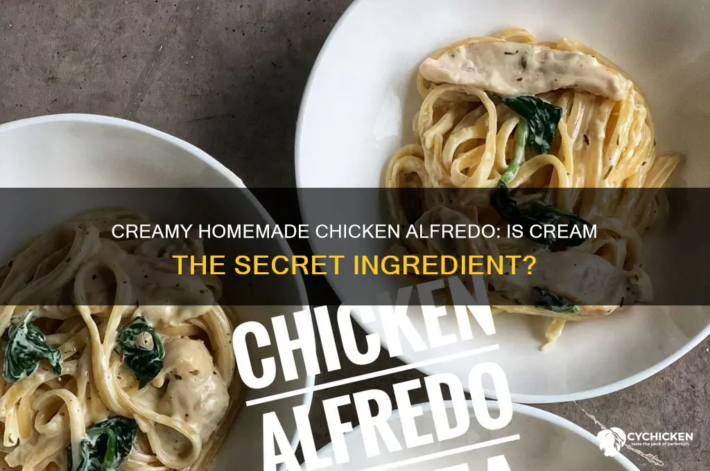 is homemade chicken alfredo made with cream