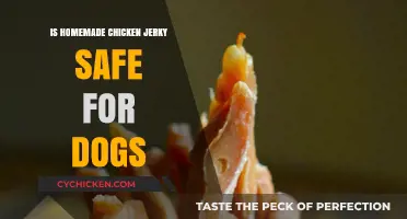 Homemade Chicken Jerky for Dogs: Safe Treat or Hidden Danger?