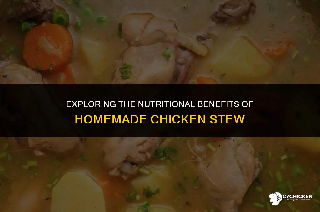 is homemade chicken stew healthy