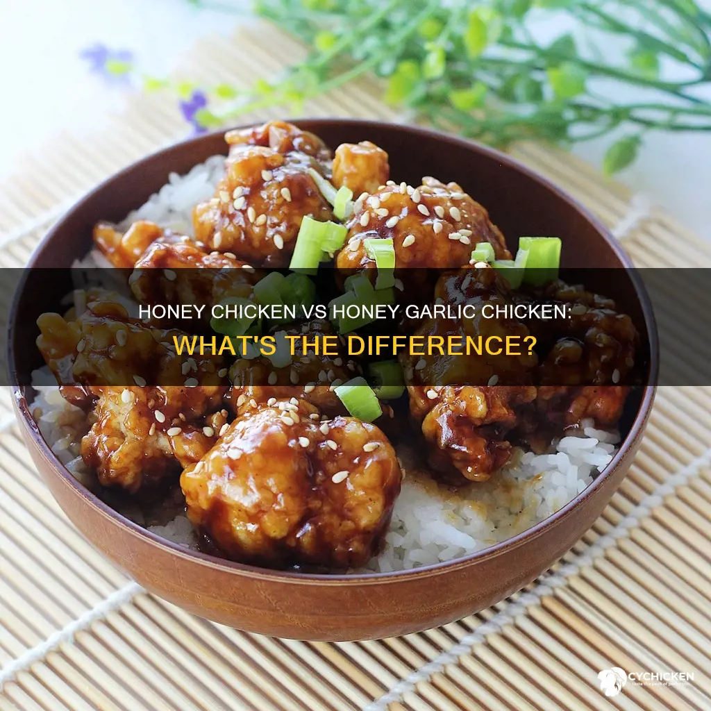 is honey chicken the same as honey garlic chicken