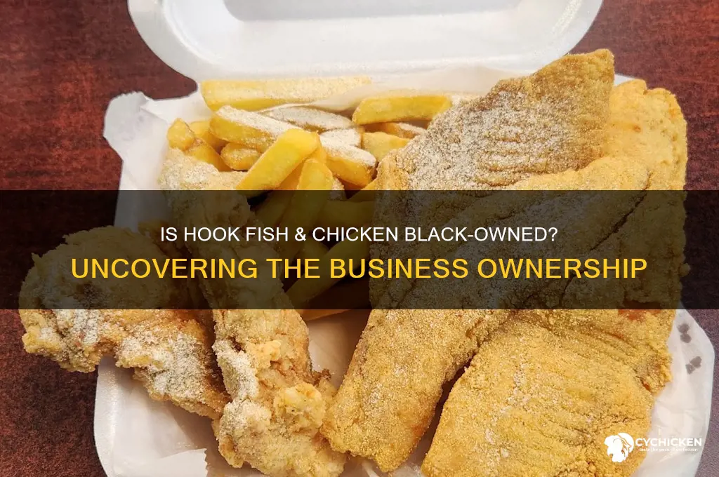 is hook fish and chicken black owned