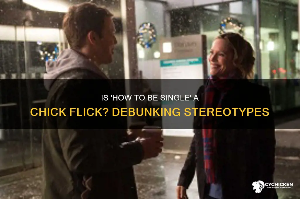 is how to be single a chick flick