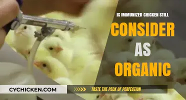 Are Immunized Chickens Truly Organic? Exploring the Label Debate