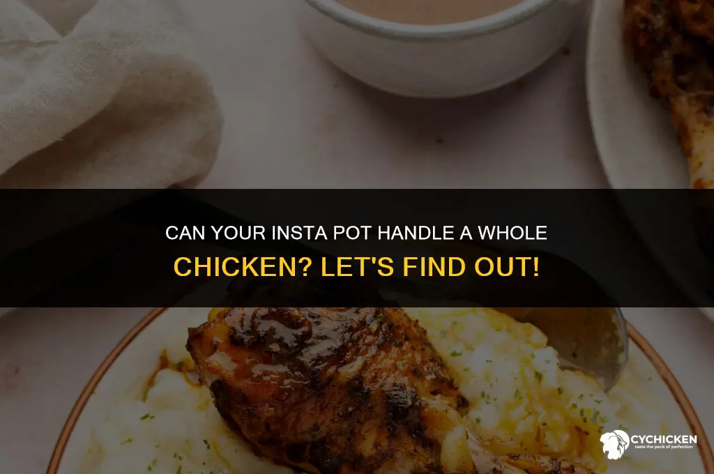 is insta pot big enought for a whoe chicken