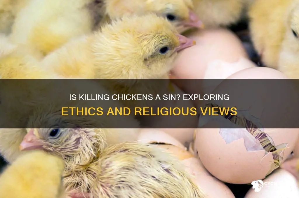 is it a sin to kill a chicken