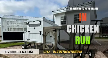 Gravel in Chicken Run: Good or Bad Idea?