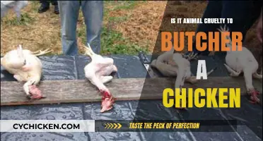 Is Butchering Chickens Animal Cruelty? Ethical Considerations Explored
