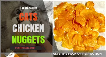 Are Chicken Nuggets Safe for Cats? A Vet's Perspective