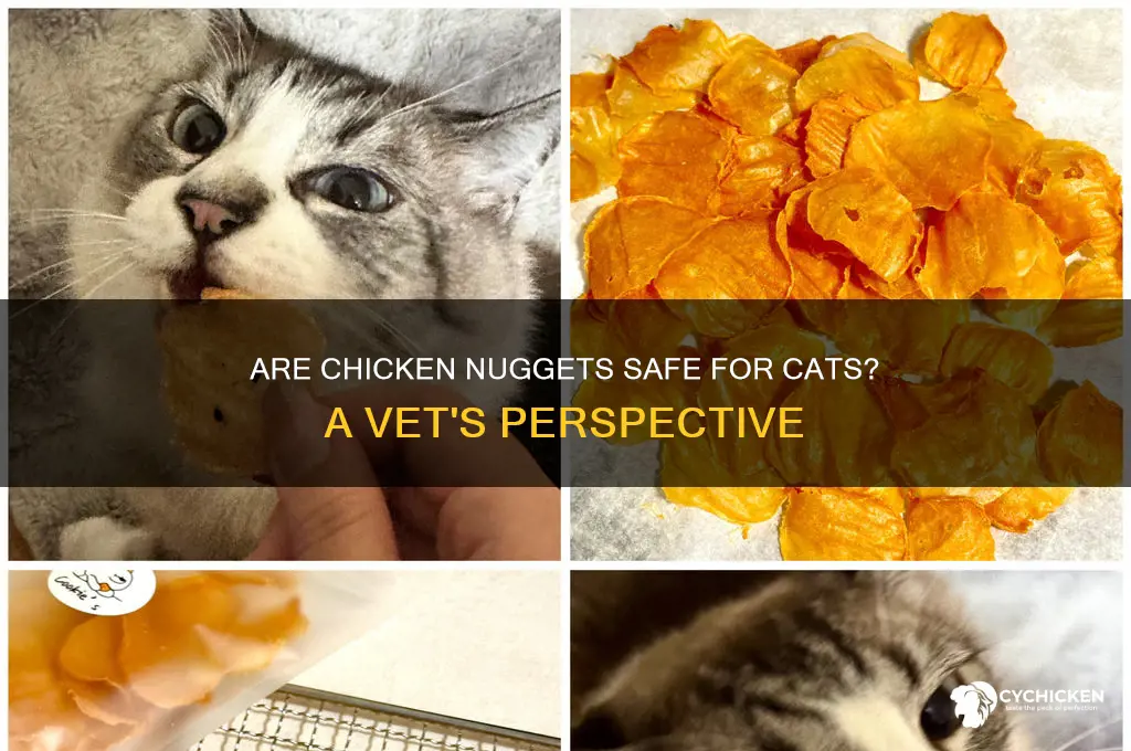 is it bad to feed cats chicken nuggets