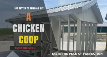 Build vs. Buy: Which Chicken Coop Option is Right for You?