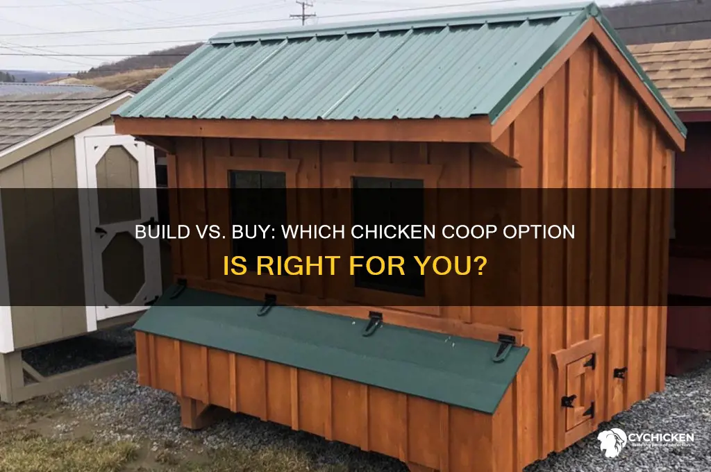 is it better to build or buy a chicken coop