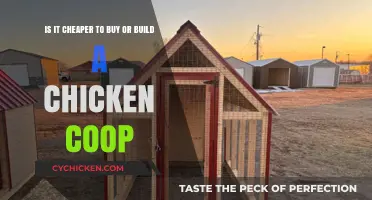 Buying vs. Building a Chicken Coop: Which Saves You Money?