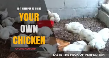 Grinding Your Own Chicken: Cost-Effective or Costly? A Budget Breakdown