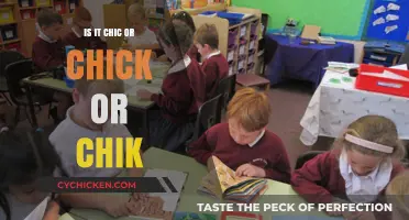 Chic, Chick, or Chik: Decoding the Right Spelling for Style and Context