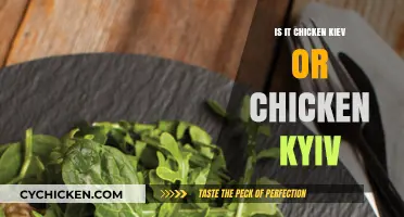 Chicken Kiev or Kyiv: Unraveling the Culinary Name Debate