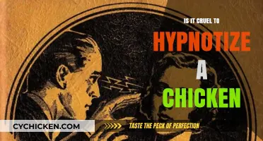Hypnotizing Chickens: Cruelty or Harmless Trick? Exploring the Ethics