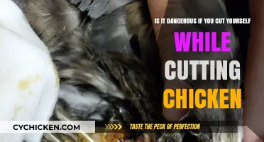 Cutting Chicken: What Are the Dangers?