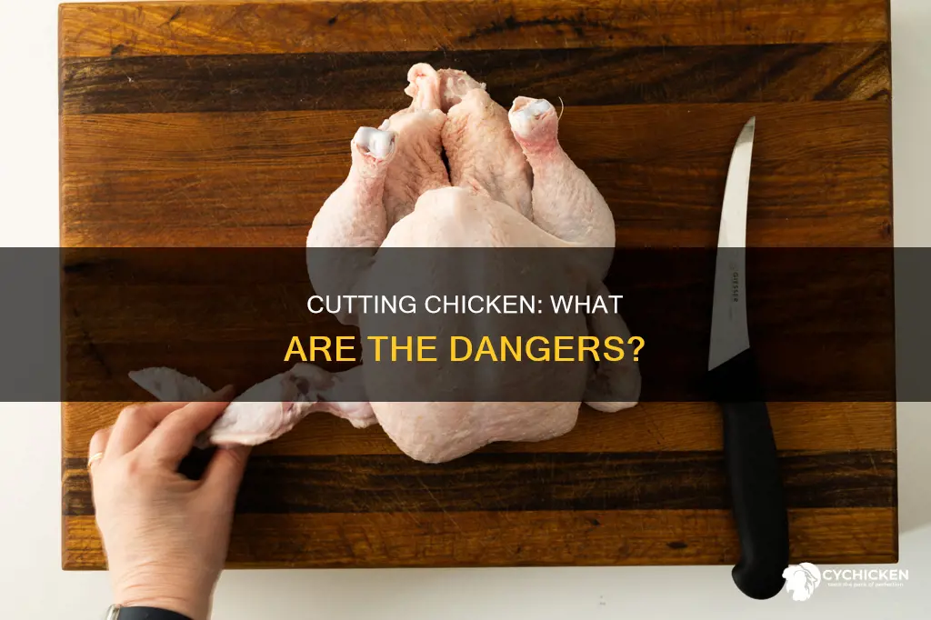 is it dangerous if you cut yourself while cutting chicken