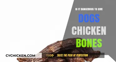 Chicken Bones and Dogs: Understanding the Hidden Dangers and Risks