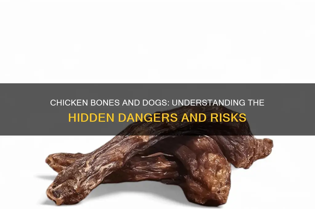 is it dangerous to give dogs chicken bones
