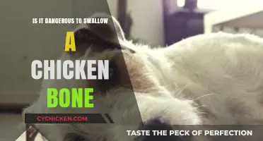 Swallowing Chicken Bones: Risks, Myths, and What You Need to Know