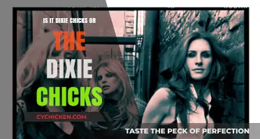Dixie Chicks or The Dixie Chicks: Unraveling the Band's Name Mystery
