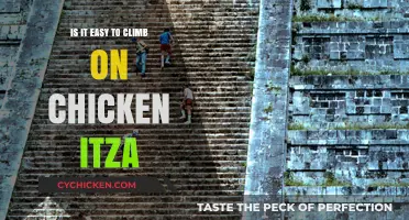 Climbing Chichen Itza: Easy Adventure or Challenging Climb?