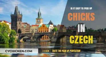 Picking Up Czech Women: Easy or Not?