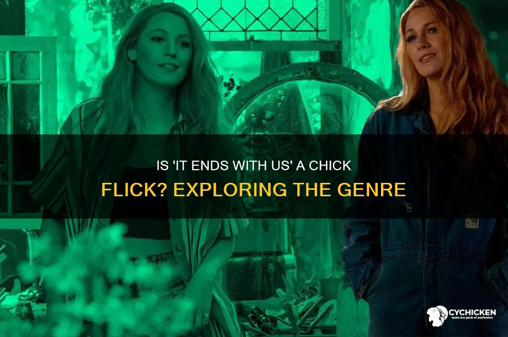 is it ends with us a chick flick