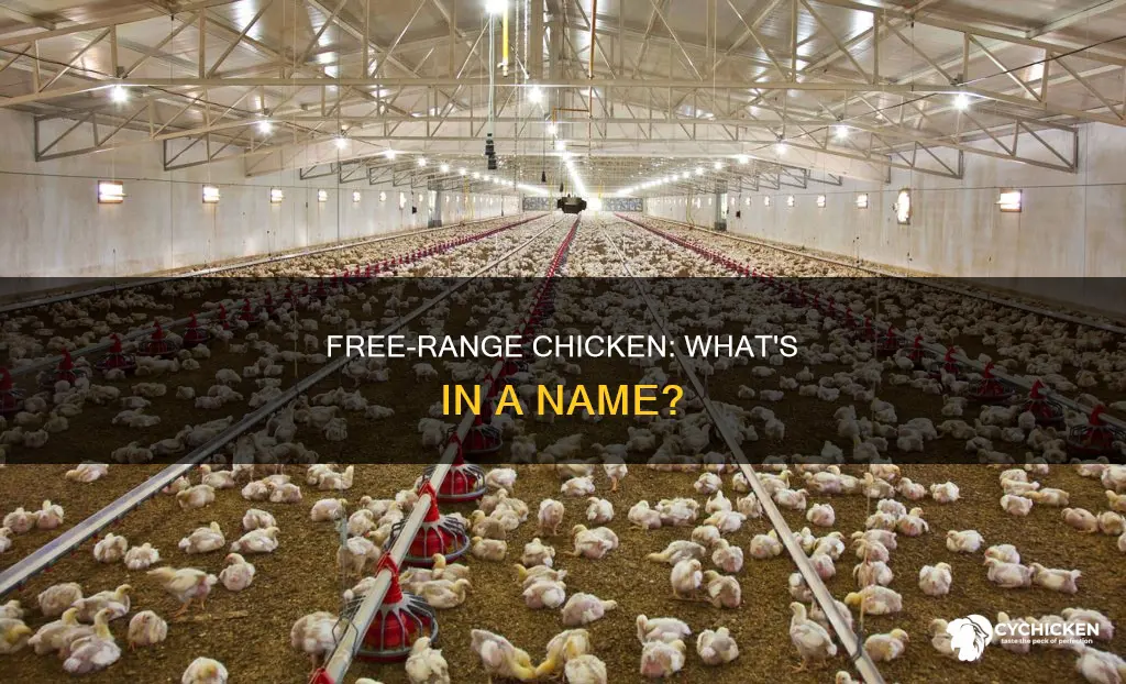 is it free range chicken or free-range chickjen