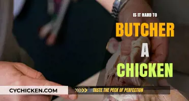 Is Butchering a Chicken Difficult? A Beginner's Honest Perspective