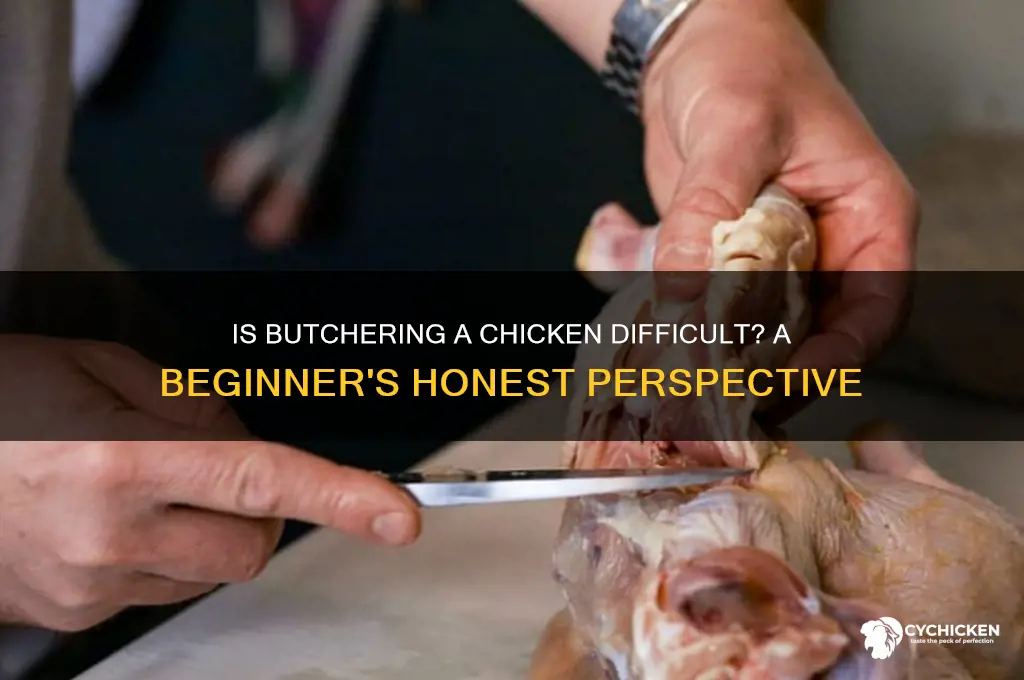 is it hard to butcher a chicken
