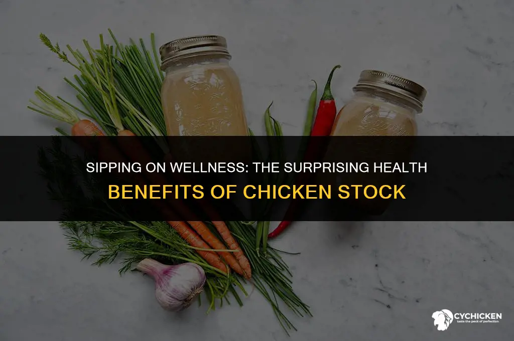 is it healthy to drink chicken stock