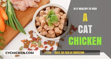 Feline Nutrition: The Pros and Cons of Feeding Cats Chicken
