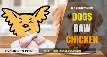 Exploring the Pros and Cons: Is Raw Chicken Safe for Dogs?